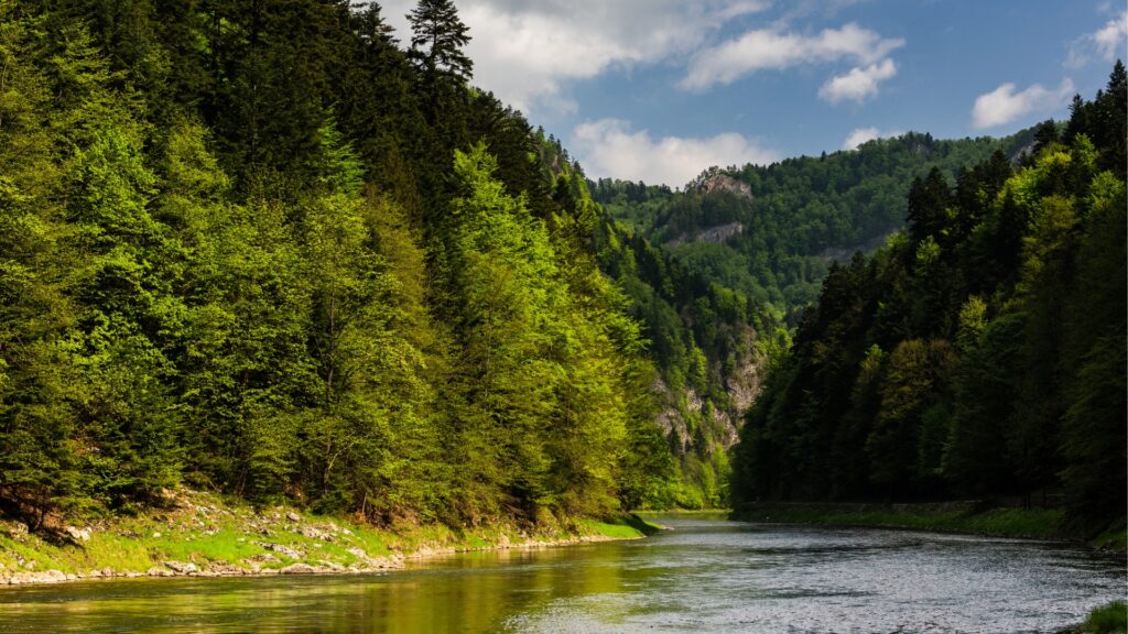 Camping w Nowym Sączu